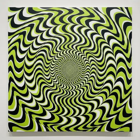 Optical Illusion of Illusory Motion