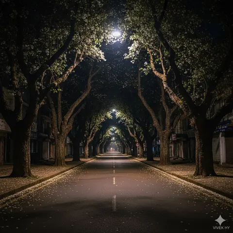 花瓣点缀的超写实夜景街道