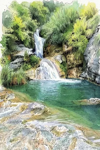 热带瀑布绿洲的水墨插画