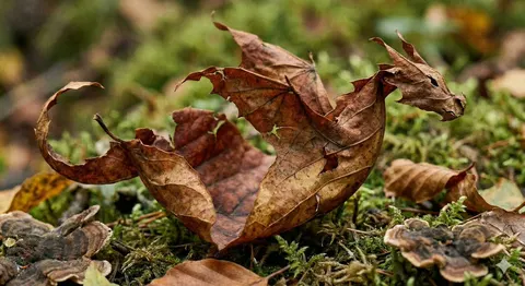 Photorealistic Leaf Shaped Like a Dragon