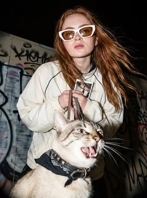 街头闪光灯下的酷飒猫咖人像
