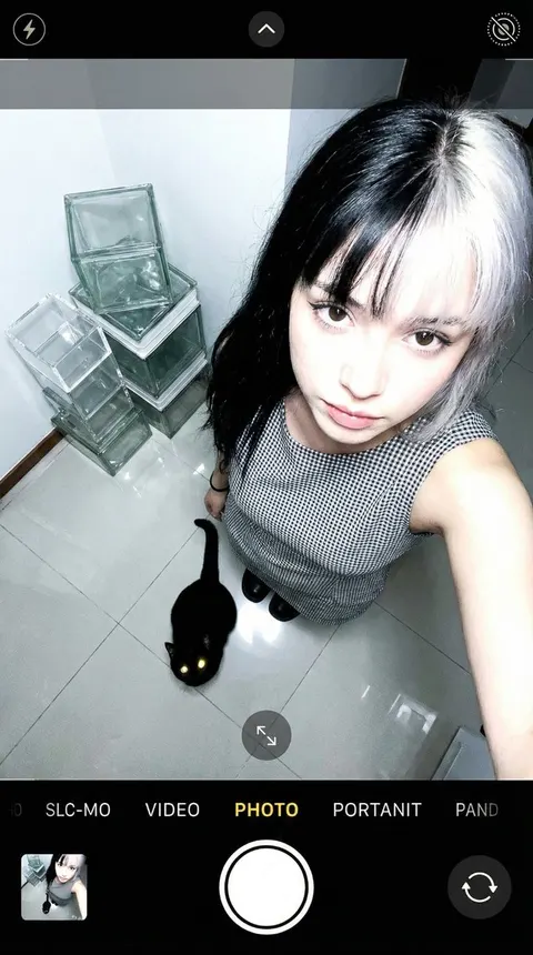 手持黑猫的俯视手机自拍模拟