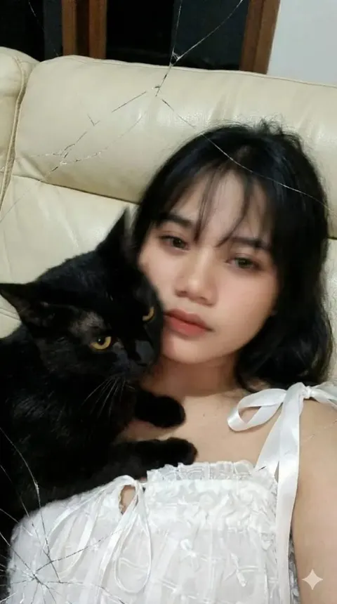 低清运动模糊猫咪对镜自拍